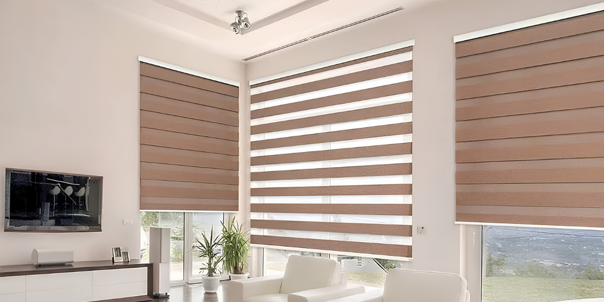 Zebra Blinds
